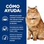 12 sobres x 85 g Hill's Prescription Diet k/d + Mobility j/d Pollo sobre para gatos, , large indicador imagen numero 4